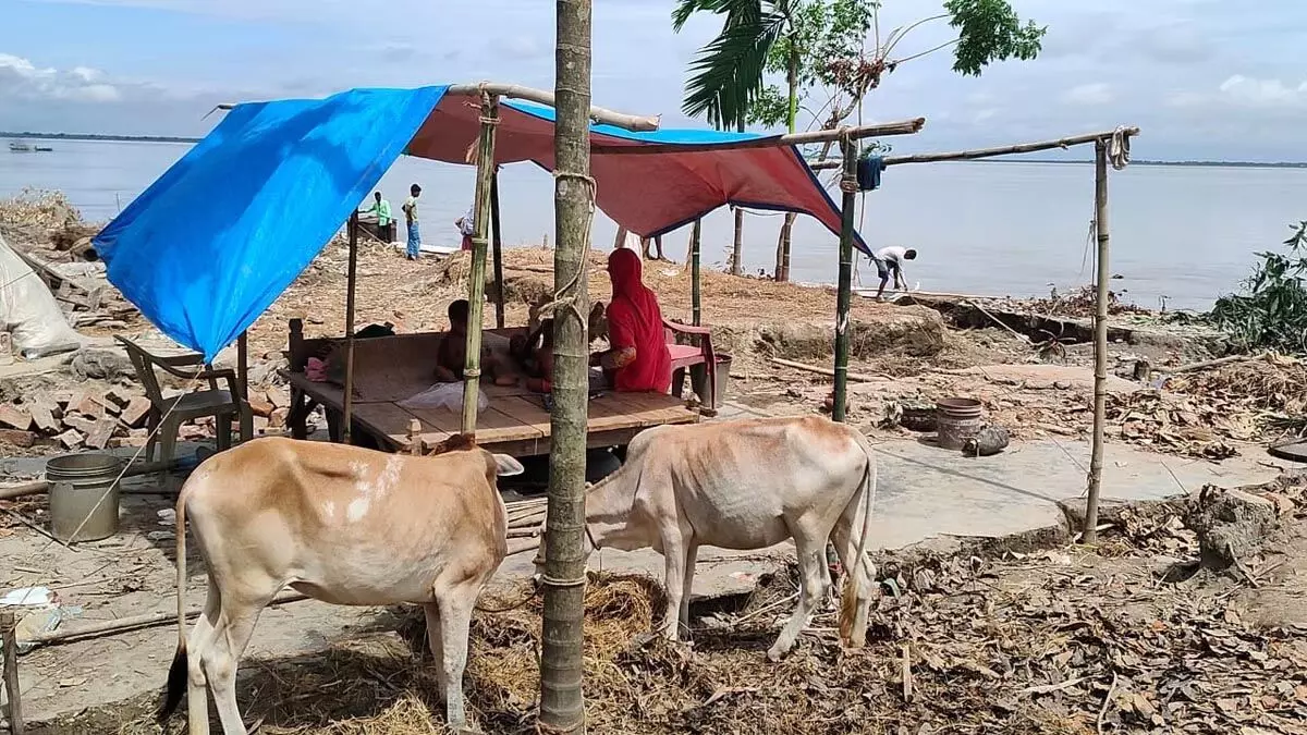 Assam :  ब्रह्मपुत्र नदी में कटाव से धुबरी जिले के फकीरगंज और नक्षत्र गांव में सैकड़ों लोग विस्थापित