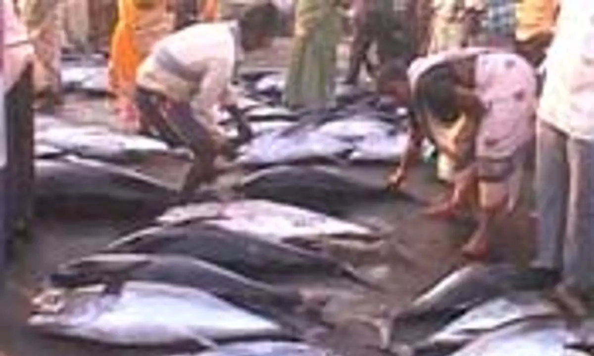 Andhra Pradesh: केंद्रीय बजट प्रस्तावों से समुद्री खाद्य निर्यात को बड़ा बढ़ावा मिला