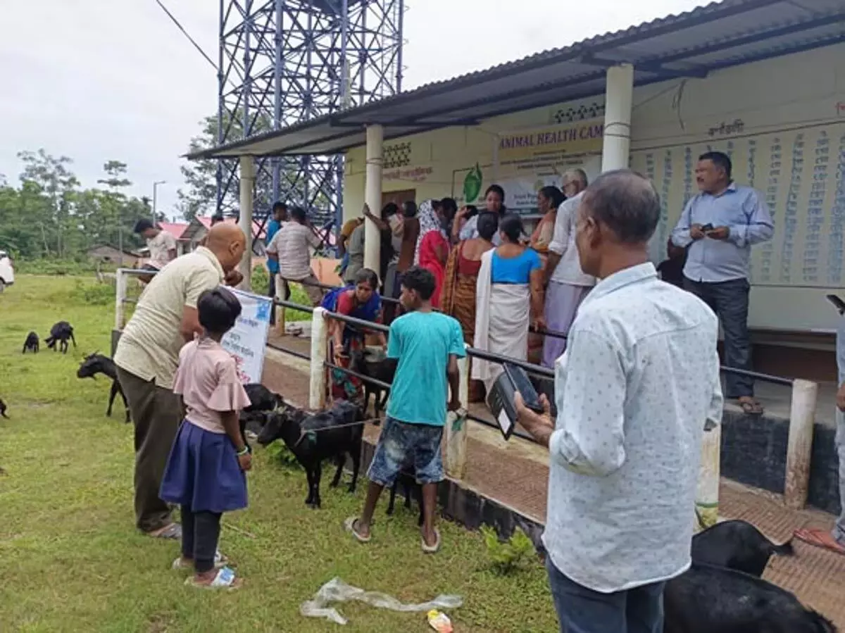 Tinsukia ने गुइजन गांव में पशु स्वास्थ्य शिविर और टीकाकरण अभियान का आयोजन