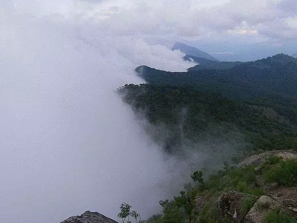 Kerala के बादलों से लदे नेल्लीयमपैथी पर्वत श्रृंखलाएं आकर्षक नजारा पेश