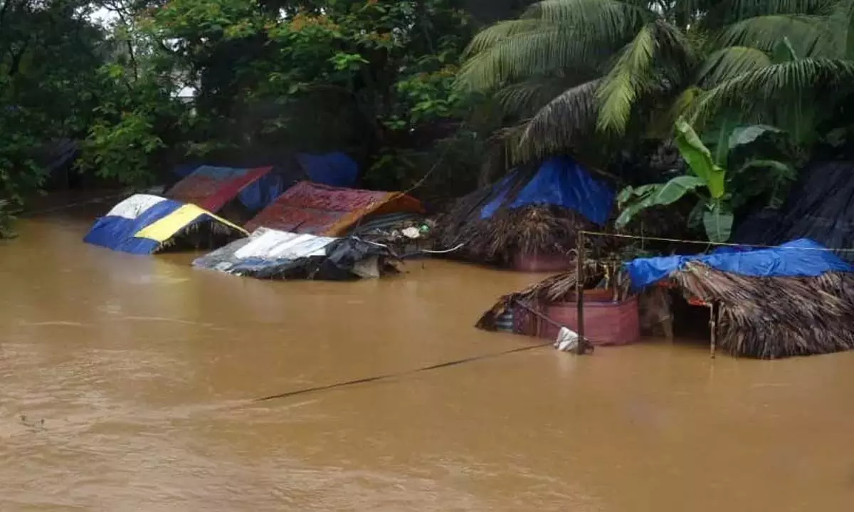 Andhra: बाढ़ ने ली किसानों की जान, बागवानी और सब्जियों की फसलों को नुकसान