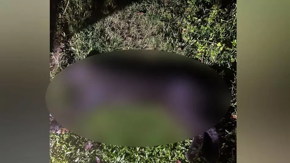 Assam : मानस राष्ट्रीय उद्यान के पास काला पैंथर मृत पाया गया