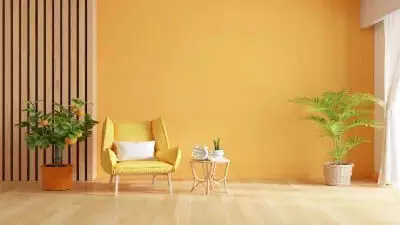 Vastu Tips: जाने घर की किस दिशा में नहीं करना चाहिए पीले रंग का पेंट