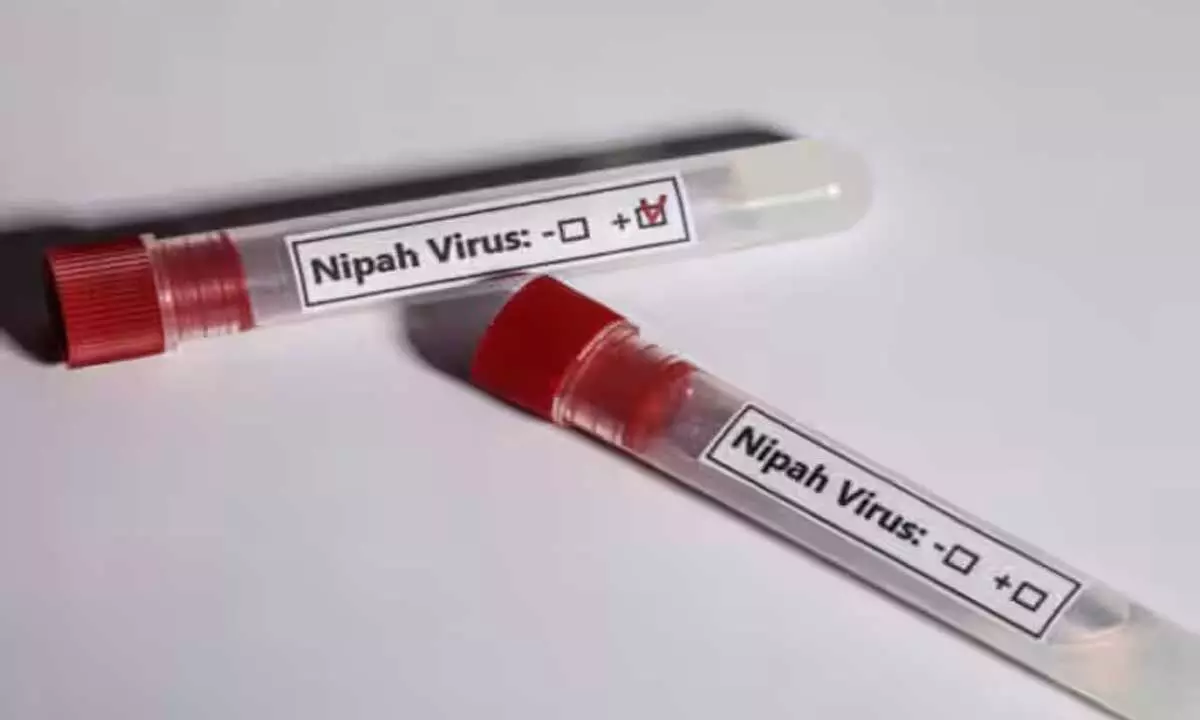 Nipah Virus को लेकर नर्स पर क्वारंटीन का उल्लंघन करने का मामला दर्ज