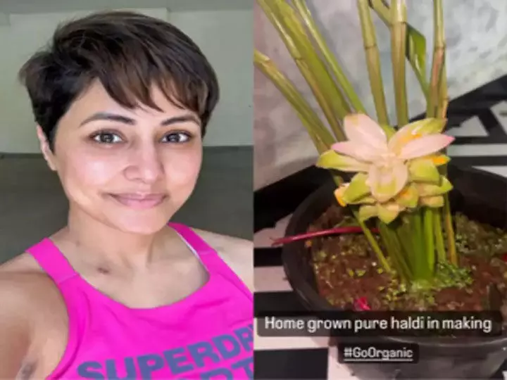 Hina Khan घर पर कर रही गार्डनिंग, इंस्टा पर शेयर किया वीडियो