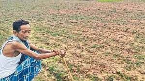 Bihar: बिन बरसे लौट रहे बादल, बारिश का इंतजार कर रहे किसानों की टूट रही आस