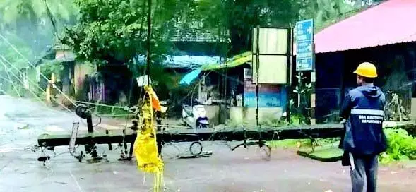 Kavlem में बिजली कटौती से परेशानी: पेड़ गिरने से केबल और खंभे क्षतिग्रस्त हुए