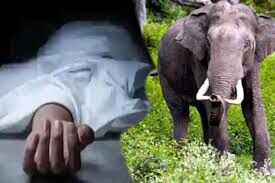 Haridwar: व्यक्ति को हाथियों ने उतारा मौत के घाट, ग्रामीणों ने वन विभाग पर लगाए आरोप
