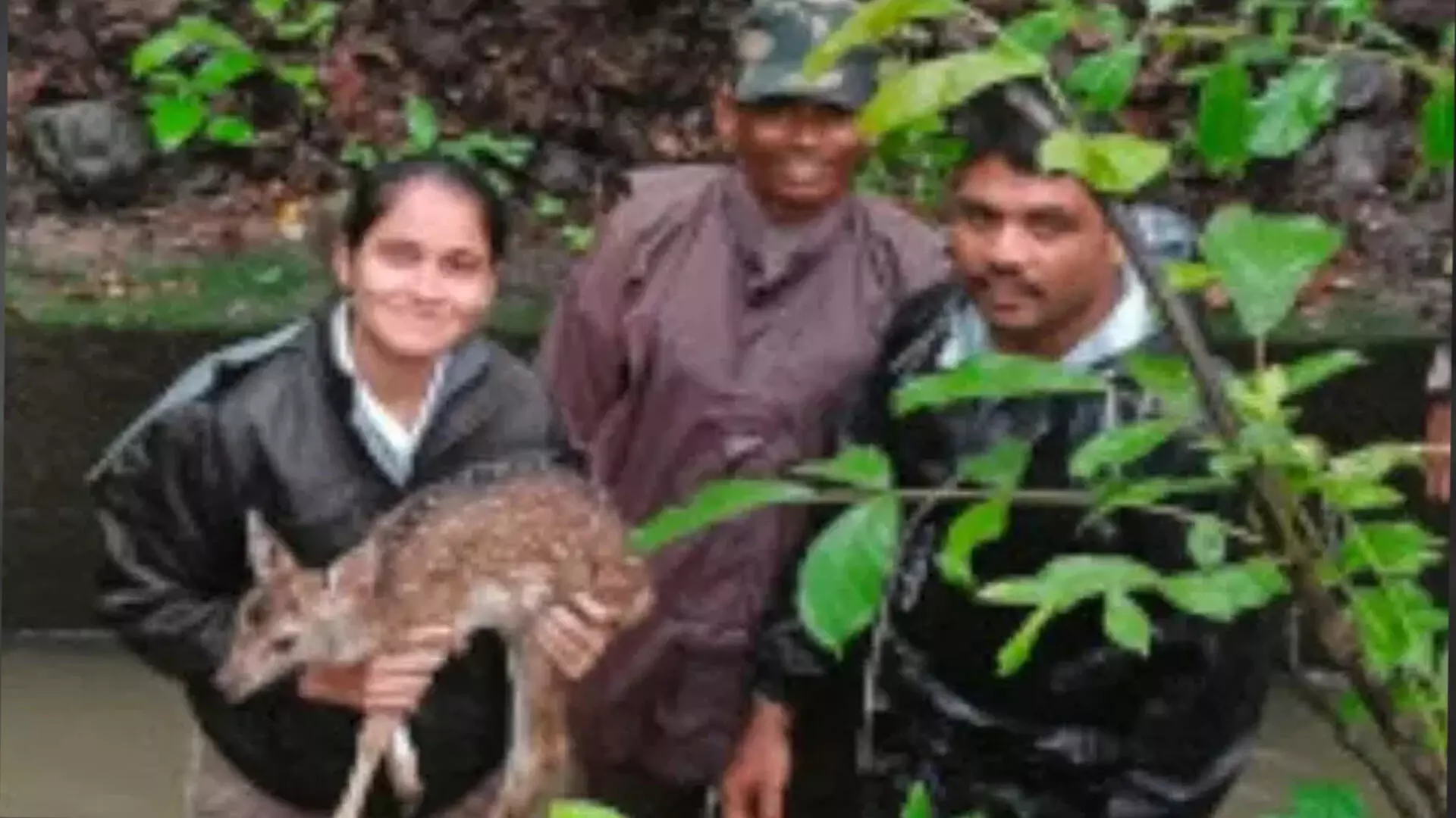 Telangana: वनकर्मियों ने शिशु हिरण को बहने से बचाया