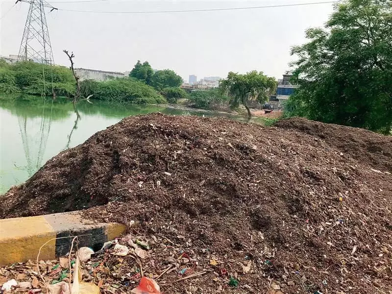 Haryana : खुले में छोड़े गए ‘उपचारित’ बंधवाड़ी कचरे का प्रयोगशाला में परीक्षण किया