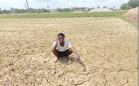 Weather: पूरे बिहार में कहीं भी बारिश के आसार नहीं, खेत सूखने से किसान परेशान