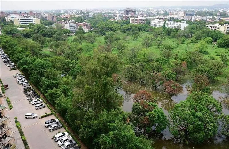 Panchkula के बाग की नीलामी करेगा, निवासियों ने जताई आपत्ति
