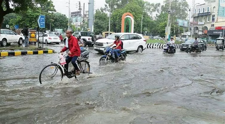 Jalandhar: भारी बारिश से जनजीवन अस्त-व्यस्त, MC की लापरवाही उजागर