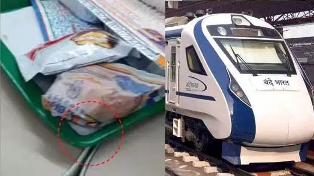 Kerala: वंदे भारत पर खाने में मिला कॉकरोच, रेलवे करेगा जांच