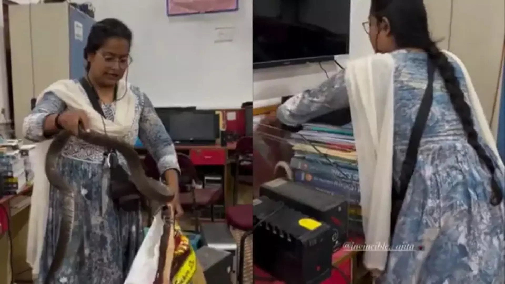 VIDEO: ऑफिस में निकले सांप को महिला ने कुछ इस अंदाज़ में पकड़ा, देखते रह गए लोग