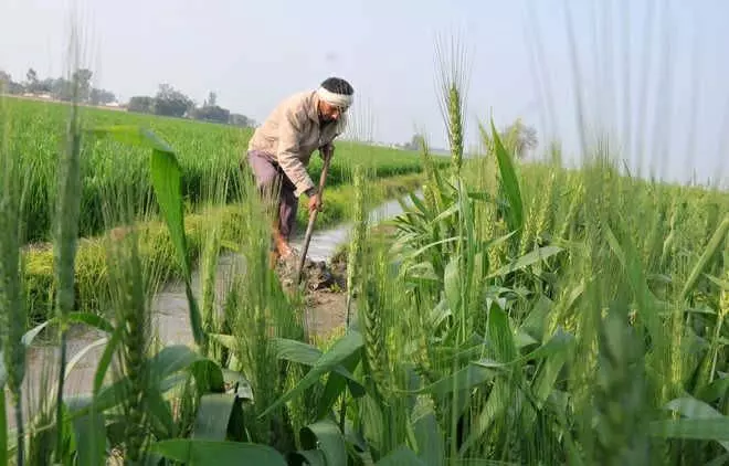 FPO को बढ़ावा देने से किसानों को आगे बढ़ने में मदद मिलेगी