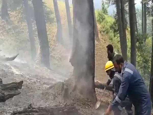 Jammu and Kashmir: कुपवाड़ा के जंगल में लगी आग बुझाई गई