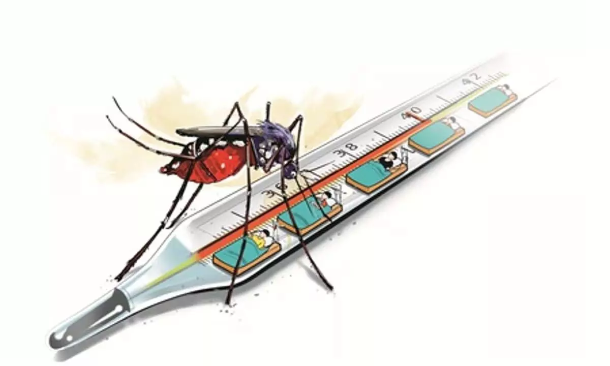 कर्नाटक में डेंगू के 17 हजार से अधिक मामले