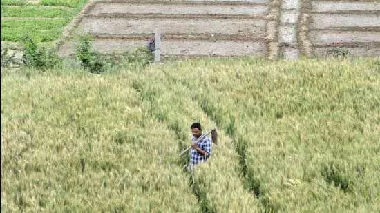 noida: ग्रेटर नोएडा प्राधिकरण किसानों को खुश करने के लिए कृषि भूमि की दरें बढ़ाएगा