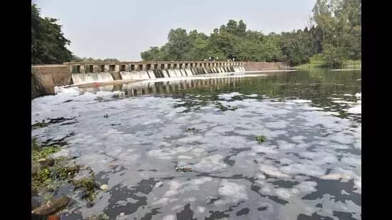 NGT एनजीटी ने पवना नदी प्रदूषण के लिए स्थानीय निकायों को तलब किया