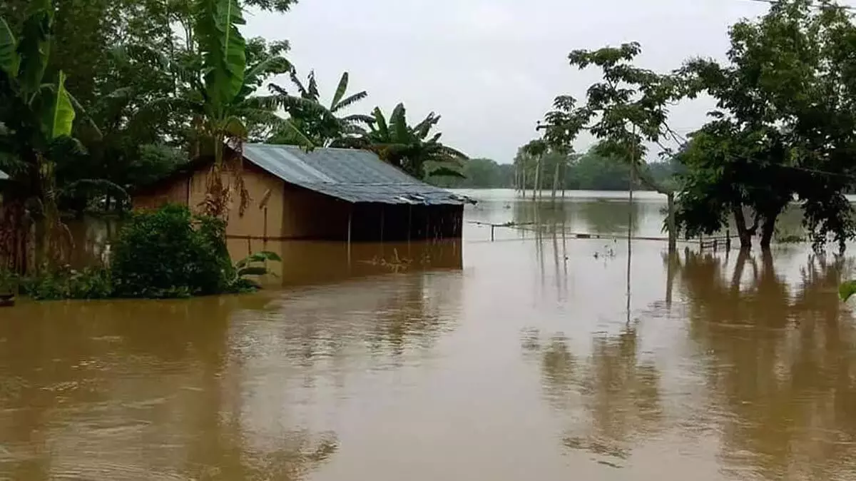 Assam में बाढ़ कम हुई नागांव जिले पर गंभीर असर