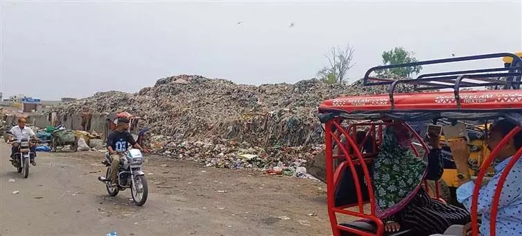 Punjab : मलेरकोटला के निवासियों ने कूड़ेदान और नियमित कचरा निपटान की मांग की