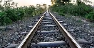 Bihar:  सोनपुर में ट्रेन से कटकर रेल यात्री की मौत