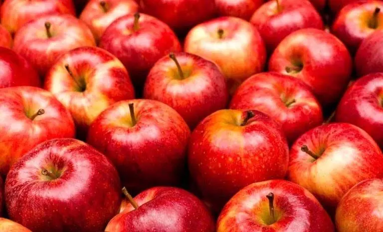 HPMC ने खोले 185 सेंटर, पिछले साल खरीदे थे 84 करोड़ के सेब