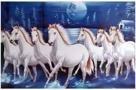 Vastu Tips: जाने घर पर कितने सफेद घोड़ों की तस्वीर लगानी चाहिए