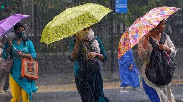 Kerala में बारिश के चलते मंगलवार को सात जिलों में शैक्षणिक संस्थानों में अवकाश