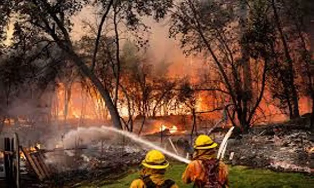 California के पार्क में लगी आग, छठी सबसे बड़ी जंगल की आग बानी