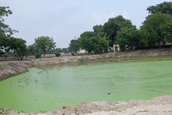 Noida: प्राधिकरण ने तालाबों की सूरत बदलने का काम तेज किया