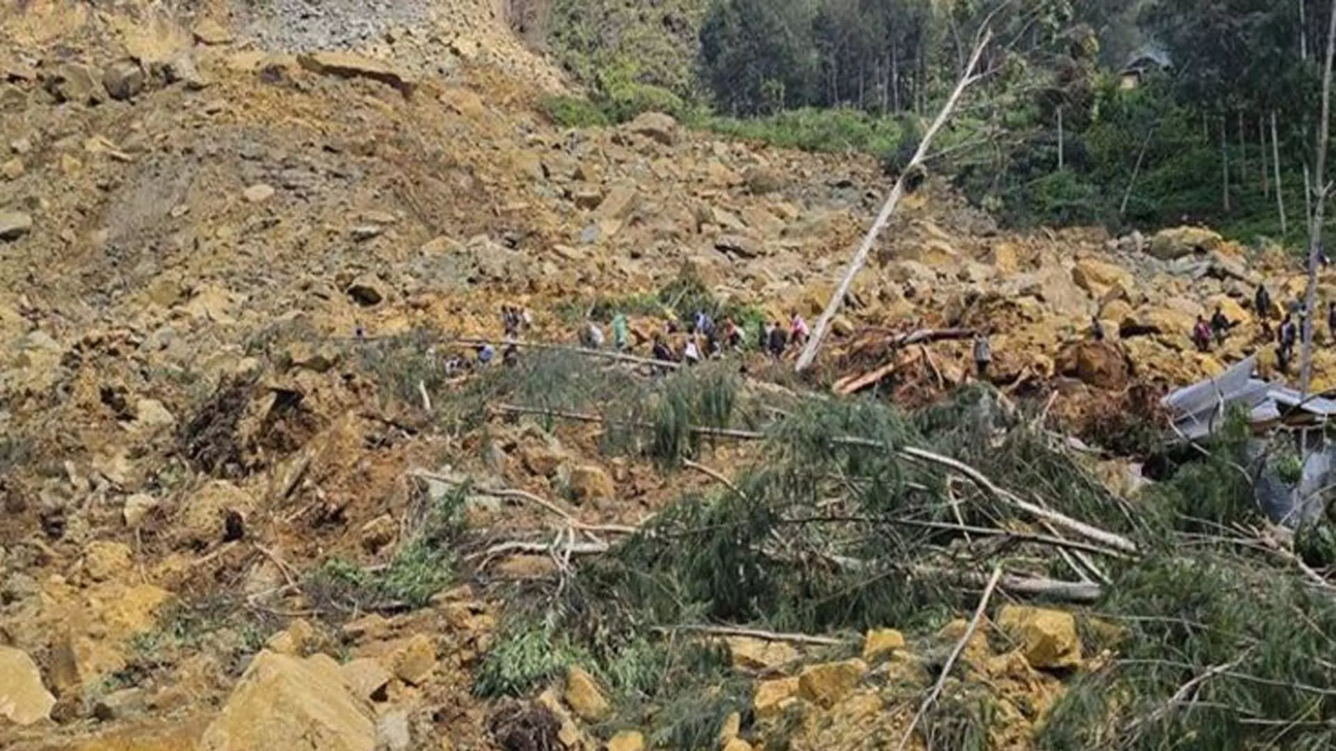 Wayanad में भूस्खलन से 19 लोगों की मौत