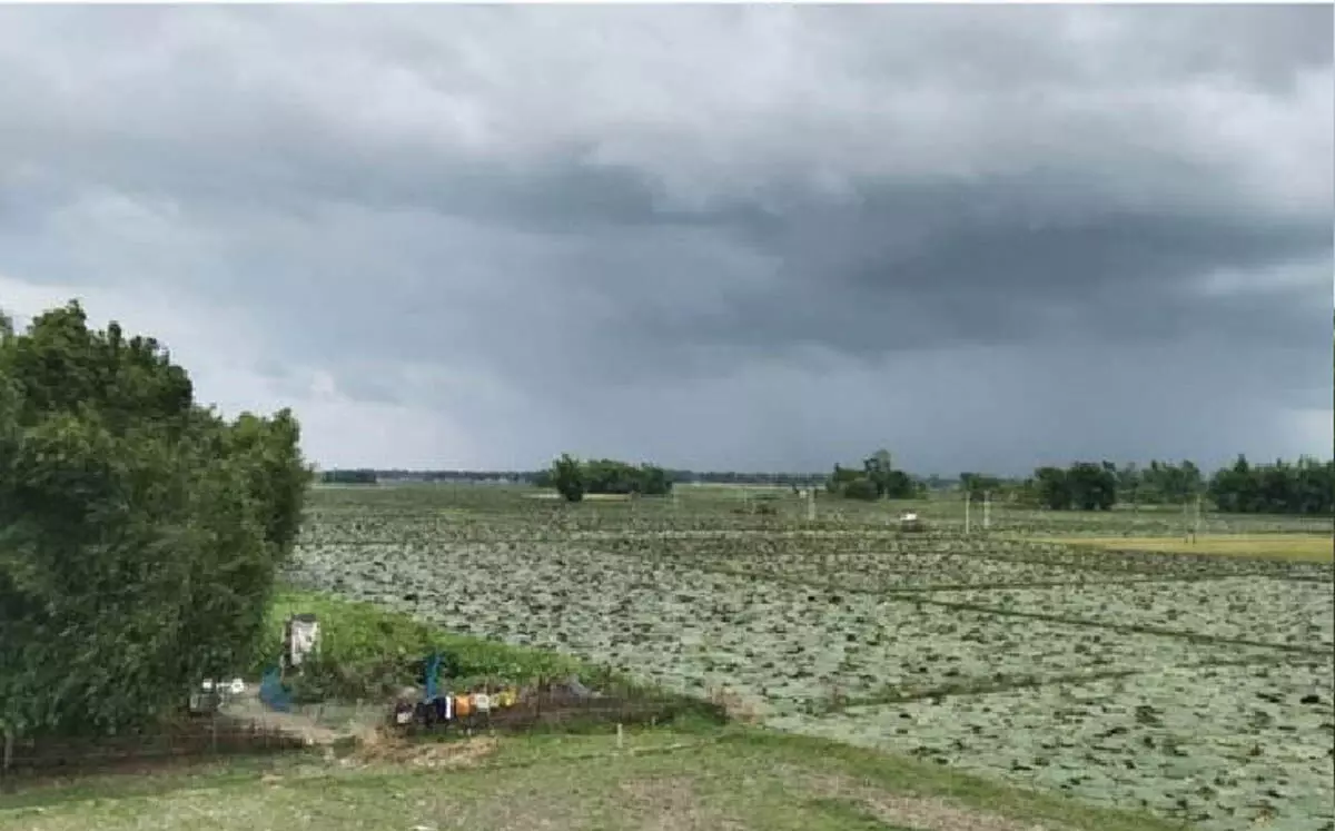 Bihar में सुस्त मानसून से लोग चिंतित कमजोर मानसून के कारण बारिश नहीं