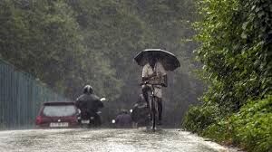 Weather: प्रदेशभर में तेज बारिश का येलो अलर्ट, 131 मार्ग बंद