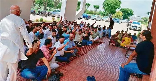 Sonipat : शिक्षकों ने कुलपति कार्यालय पर दिया धरना, बैठक की कार्यवाही सार्वजनिक करने की मांग