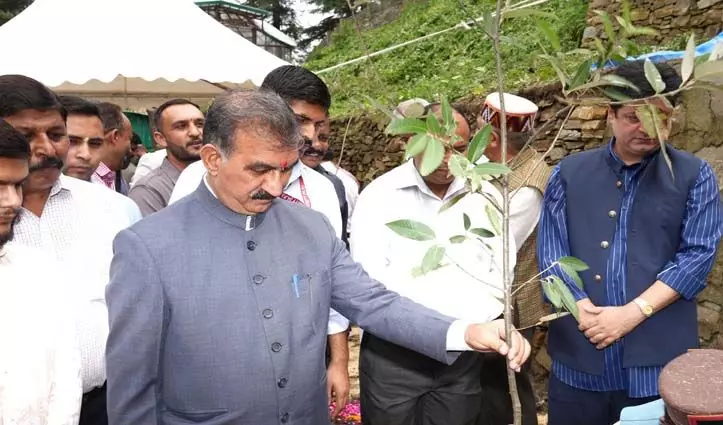 CM Sukhu ने राज्य स्तरीय वन महोत्सव का किया शुभारंभ