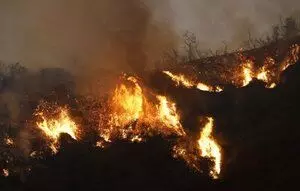 America: भीषण जंगल की आग के कारण लोगों को निकाला गया