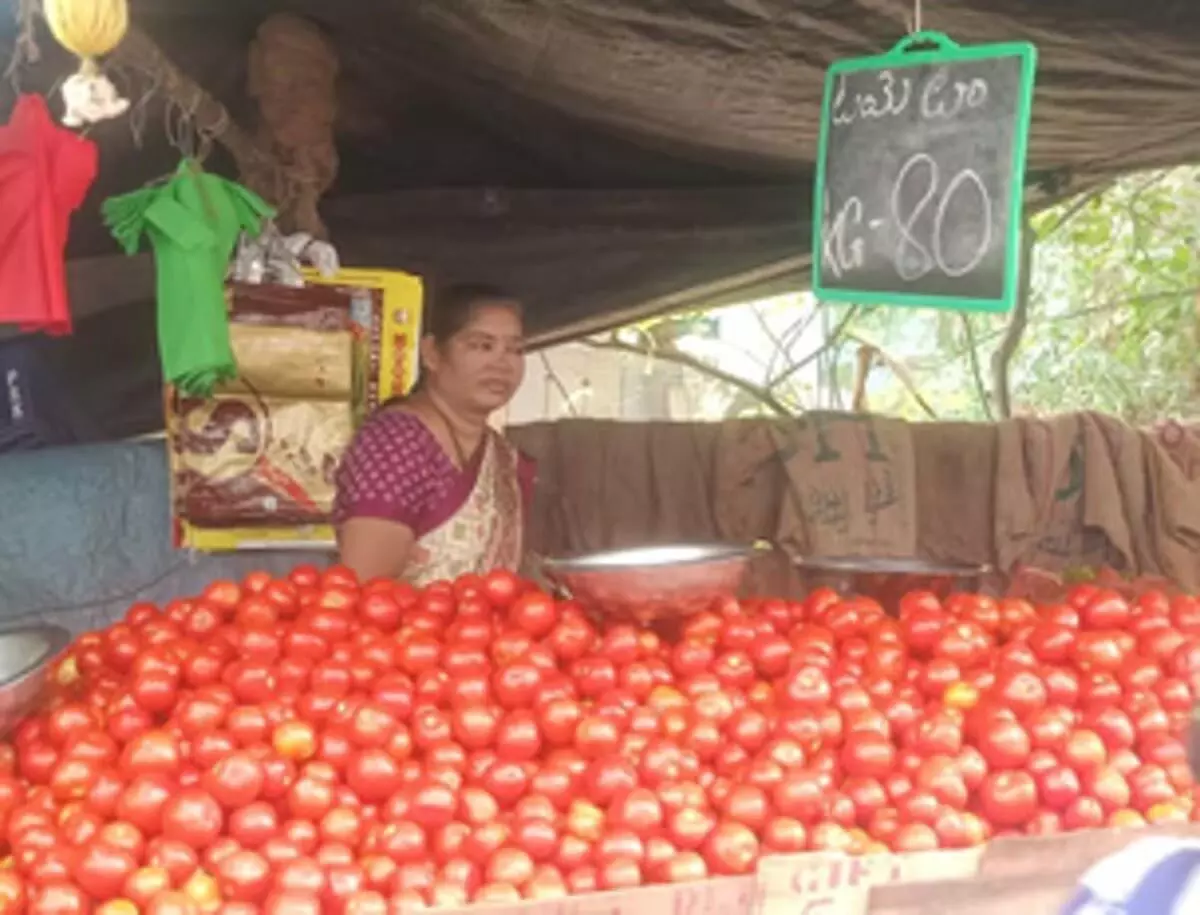 Tamil Nadu : मदुरै में बैंगन की कीमतें 80 रुपये प्रति किलो तक पहुंचीं