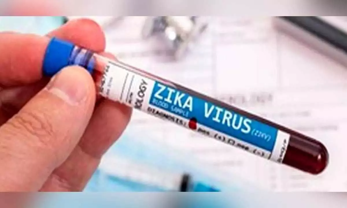 Centre ने जीका वायरस रोग के प्रबंधन के लिए कार्य योजना तैयार की