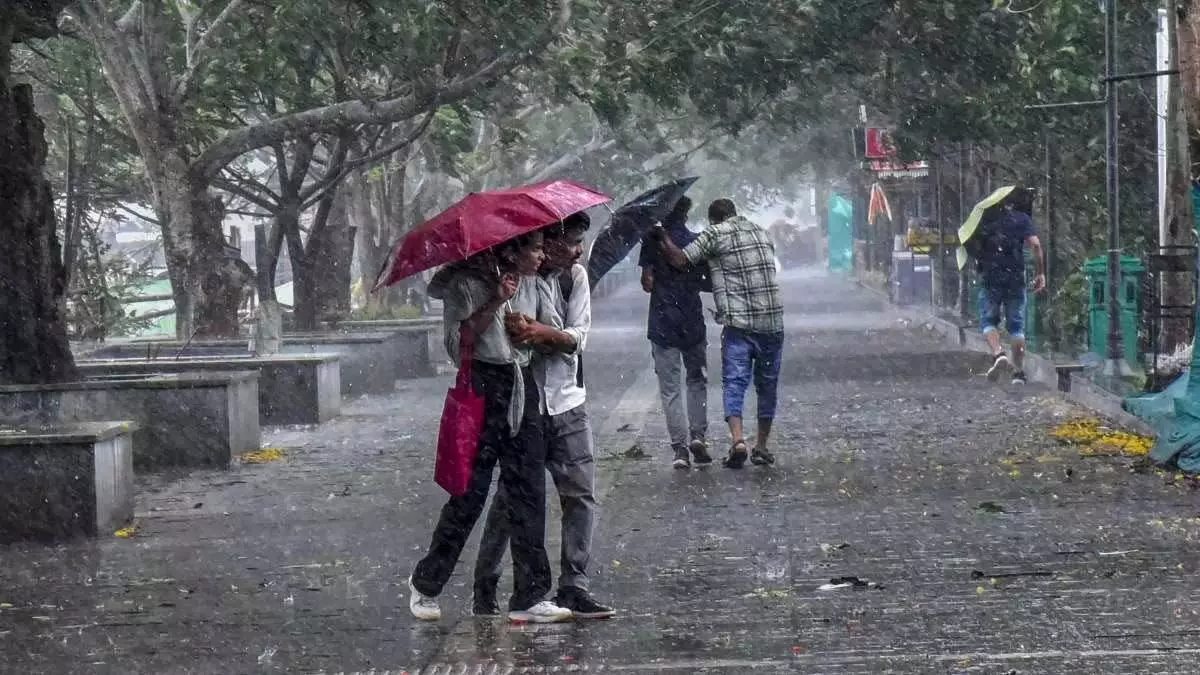 IMD ने जारी किया वायनाड समेत 7 अन्य जिलों में बारिश का रेड अलर्ट