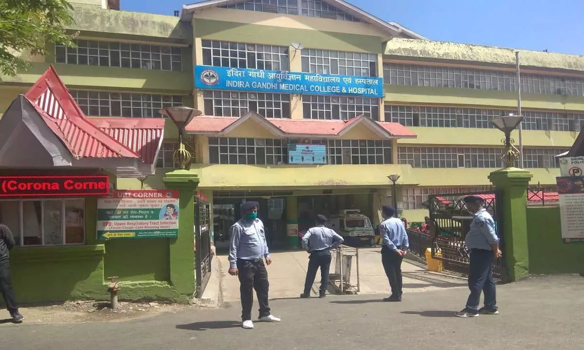 Himachal: शिमला अस्पताल में 35 लोग स्क्रब टाइफस से संक्रमित