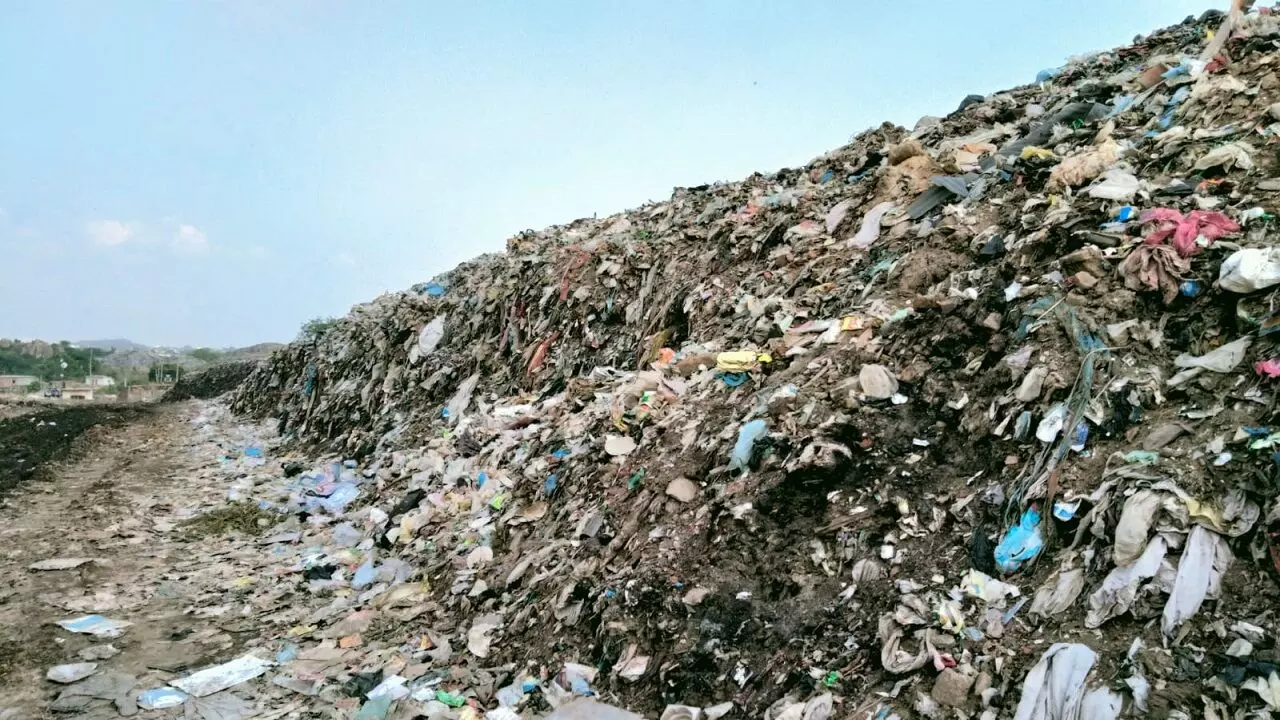 Bhagalpur: बस पड़ाव में लगा कचरे का अंबार