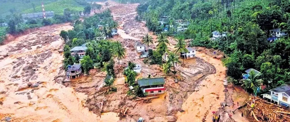 Kerala : वायनाड में भूस्खलन के लिए मानवीय कारकों की तुलना में बारिश अधिक महत्वपूर्ण है, अध्ययन में कहा गया