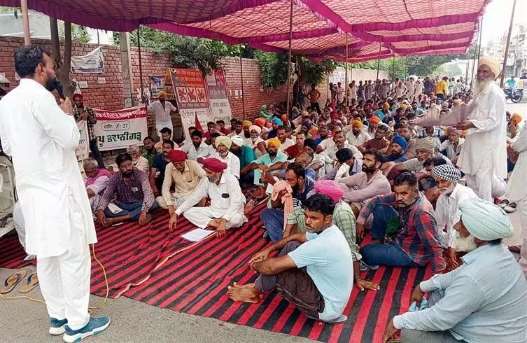 Punjab : पल्लेदारों ने टेंडर और सुरक्षा के बिना काम मांगा