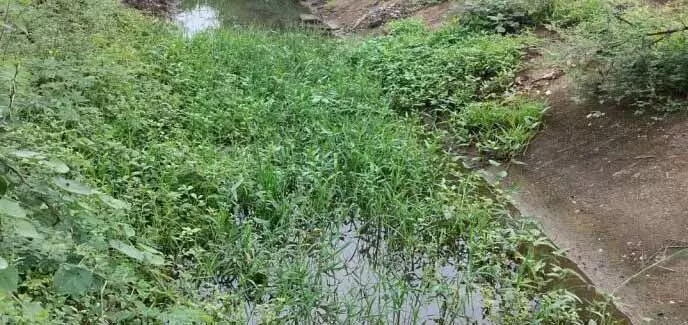 नहर कचरे से पटा, जल संसाधन विभाग के खिलाफ किसानों में आक्रोश