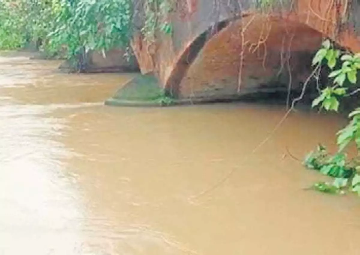 Jalaka नदी उफान पर, बालासोर के ग्रामीणों पर बाढ़ का खतरा