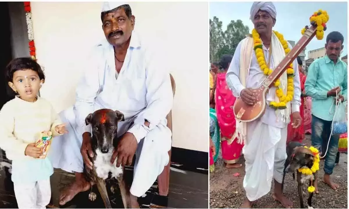Karnataka : खोया हुआ कुत्ता 250 किलोमीटर का सफर अकेले तय कर बेलगावी पहुंचा