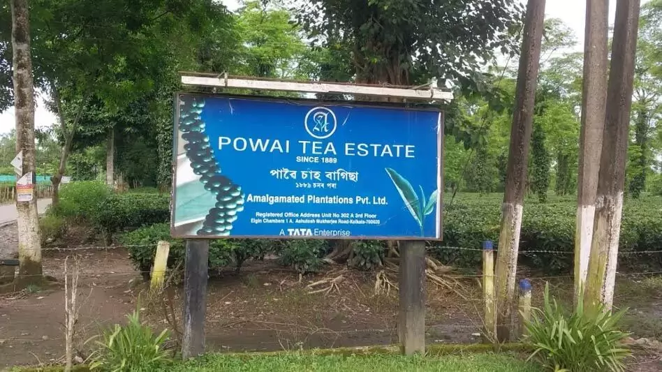 Assam : छात्र संगठन ने पवई चाय बागान में बिजली निधि के कुप्रबंधन पर चिंता जताई