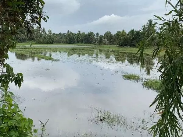 Kerala में किसानों के लिए मुसीबत, भारी बारिश के कारण उनकी खेती का मौसम पंचकृषि देरी से शुरू